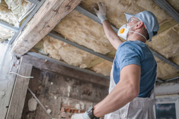 Types of Insulation We Offer in Collinsville, MS