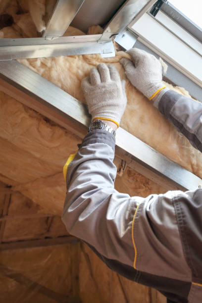 Types of Insulation We Offer in Collinsville, MS