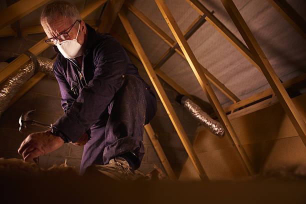Best Fiberglass Insulation in Collinsville, MS